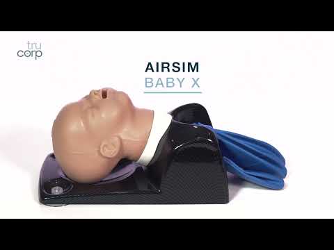 AirSim Baby X