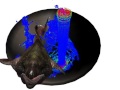 Implicit FEM and Fluid Coupling (2) on GPU for Interactive Multiphysics Simulation - SIGGRAPH 2011