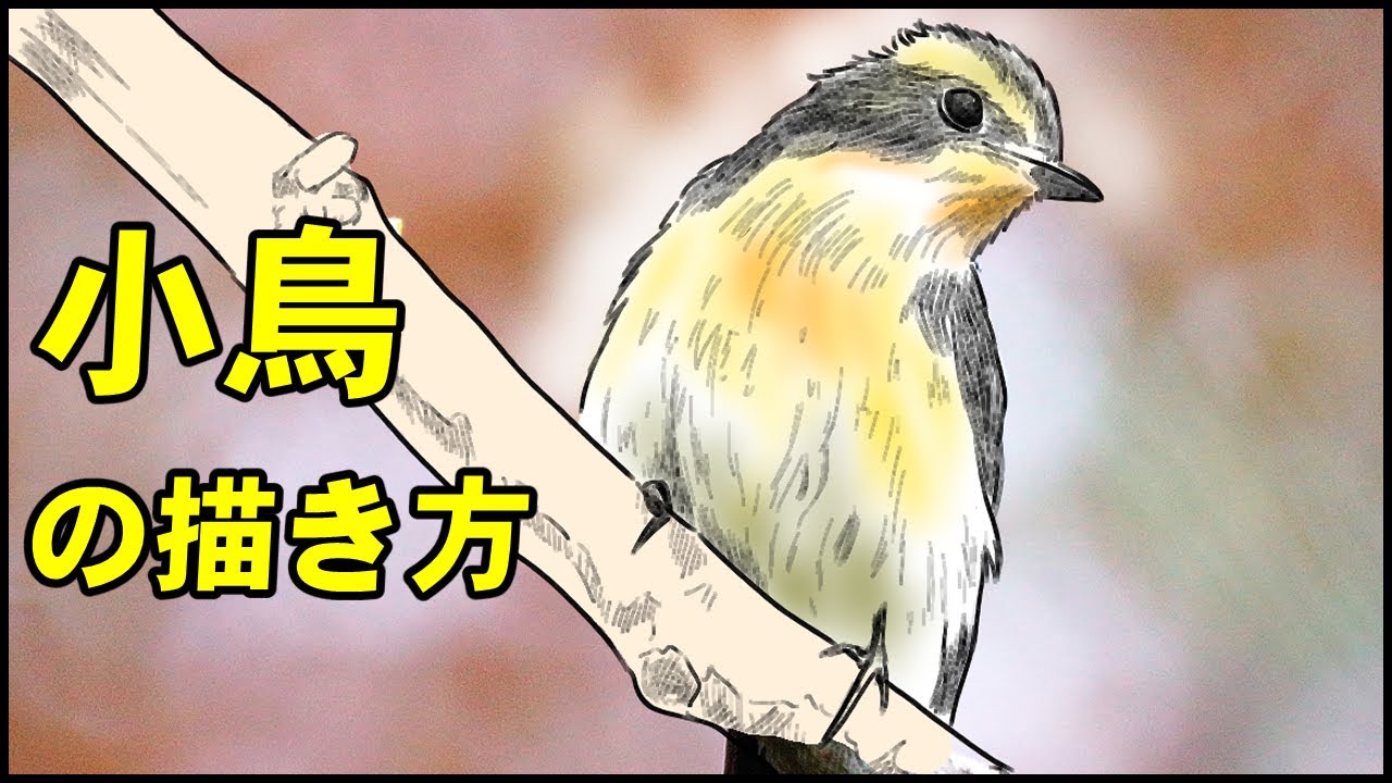 絵の描き方 小鳥の絵の書き方 初心者でも簡単なイラストのコツ Youtube