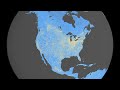 Surface Nitrogen Dioxide across North America