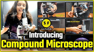 Introducing Compound Microscope | How to use Microscope ? | Microscope in Hindi By Sonam Maam