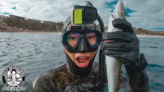 The Near-Victory: Yorke Peninsula Spearfishing Championships!