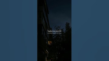 قالوا من فعل هذا بآلهتنا إنه لمن الظالمين  #ياسر_الدوسري #سورة_الأنبياء #قرآن #تلاوة #صوت_الخشوع