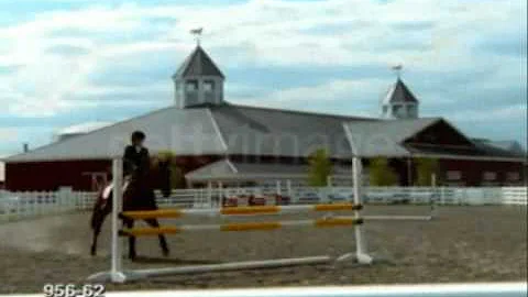 titanic horse amv.wmv