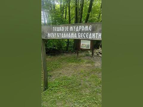 Мудре мисли из Тршића 03 - YouTube