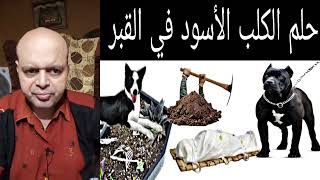 ترمز رؤية الكلب الأسود في المقابر في المنام إلى الموت والفناء | تفسير الأحلام: Dream interpretation