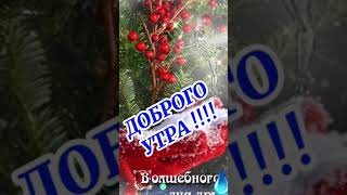 🎈Доброе Июльского Утро. С Добрым Утром и Хорошим Днём. Красивая Музыкальная Открытка. #6декабря