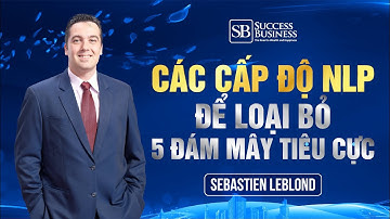 Các cấp độ NLP để loại bỏ 5 đám mây tiêu cực | Success Business School