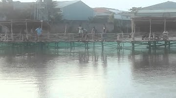 Câu cá tra - Hồ câu Ao Sen