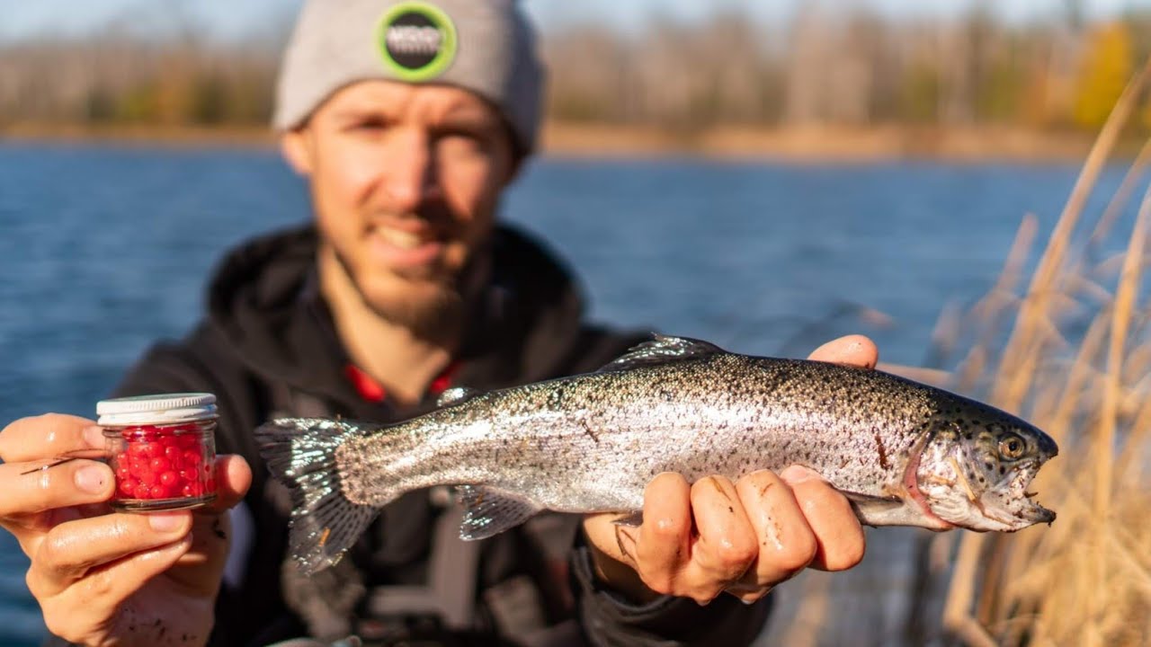 How To Fish For TROUT Using Salmon Eggs (EASY SETUP-CRAZY FOOTAGE) 