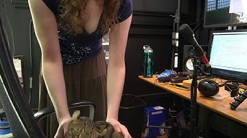 linux kernel debugging, and cat // 2021-11-14