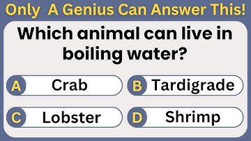 General Knowledge Quiz: The Impossible Edition. #challenge #gk #gkquiz #trivia #generalknowledge