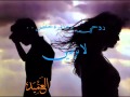 شيرين وحامد زيد قلب وراح شيرين وحامد زيد قلب وراح