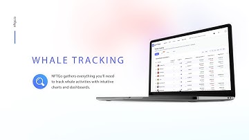 NFTGo New Function —— Whale Tracking #NFT #Analytics