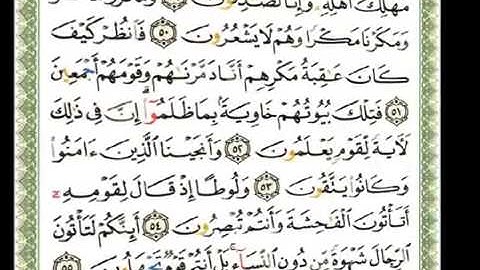 027   سورة النمل   شيرزاد عبد الرحمن طاهر