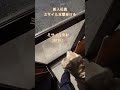 新入社員目掛けて大型犬ミサイルが飛んで行く #shorts