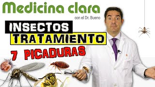 7 PICADURAS de INSECTOS TRATAMIENTO | Especial ATENCIÓN a las 2 ÚLTIMAS | Medicina Clara