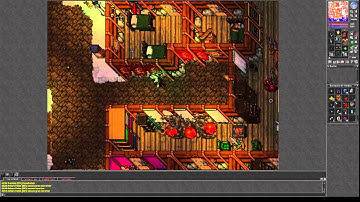 Differences between Sorcerers and Druids: Tibia