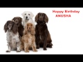 Anusha - Dogs Perros - Happy Birthday