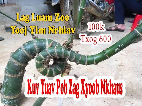 Lag Luam Zoo 2022 - Yuav Pob xyoob Tau Nqi Heev