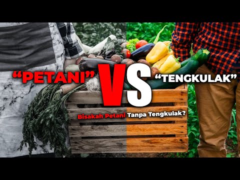 Video: Apa itu tengkulak dalam pertanian?