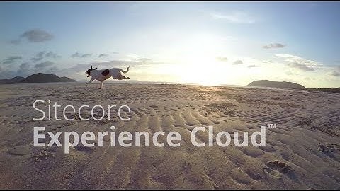 Sitecore Experience Cloud