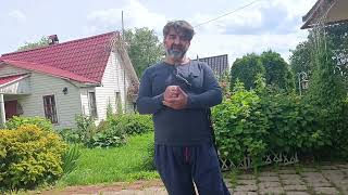 видео: Профанация казачьей шашки. Фехтования не было. Заключительная часть. картинка: Профанация казачьей шашки. Фехтования не было. Заключительная часть.