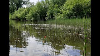 ОН вяжет УДОЧКУ в УЗЕЛ !! Рыбалка на КРУПНЯК В ХВОЩЕ !