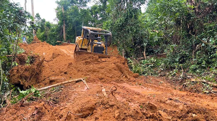 Watch the CAT D6R XL Bulldozer Build a Forest Road in Minutes