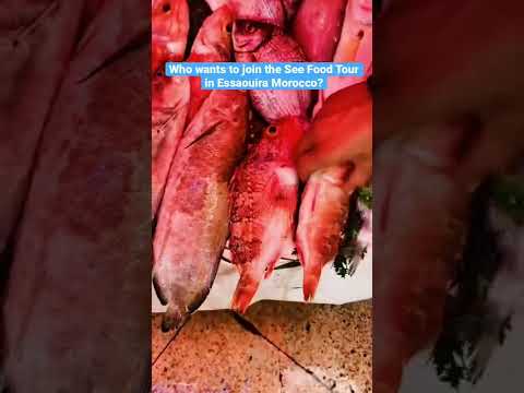 Vídeo: Guia de viatge per Essaouira, Marroc