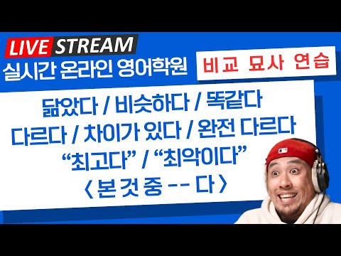 차이점과 공통점 묘사🎙️ 〈 실시간 온라인 영어 학원 〉