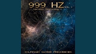 24 999Hz V1