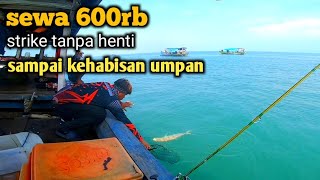 BIKIN NGILER!! SEWA KAPAL MURAH HASIL ISTIMEWAH!! spot pulau tunda