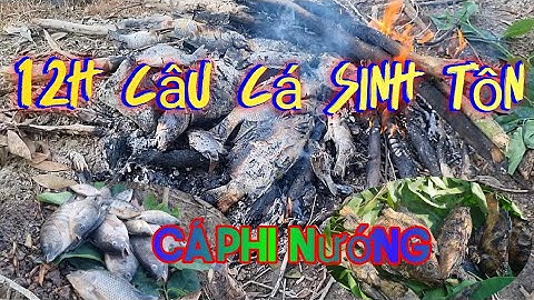 12H Câu Cá Sinh Tồn Tại RUỘNG LÚA Ăn Cá Rô Phi Nướng Mọi 