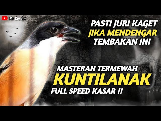 NGERIII..!!PASTI JURI KAGET JIKA MENDENGAR TEMBAKAN INI || MASTERAN TERMEWAH KUNTILANAK !! class=