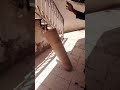 ارضيات فينيل من ميجاوات اشتريها ميجاوات للأرضيات ارضيات فينيل من ميجاوات اشتريها ميجاوات للأرضيات