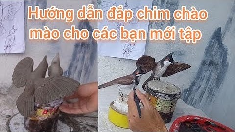 Hướng dẫn đắp chim chào mào đẹp từ xi măng và cát