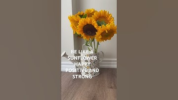 Thumbnail of Sunflower 🌻 is seen as a symbol of long life, good fortune, happiness, strength and positivity!!!
