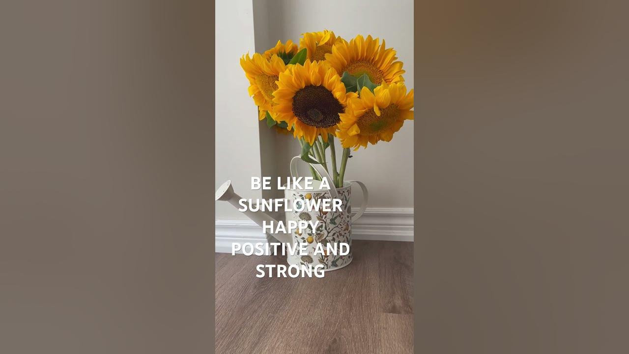 Sunflower π» is seen as a symbol of long life, good fortune, happiness, strength and positivity!!! Sunflower π» is seen as a symbol of long life, good fortune, happiness, strength and positivity!!!