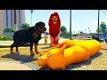 LION VS ROTTWEILERS