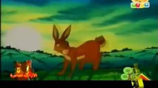 فيلم الكرتون الأرانب المغامرة   الكارتون الإسلامي