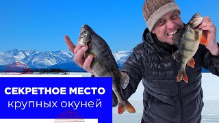 20 кг. зачётных окуней и три дня поиска!