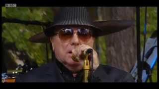 Van Morrison - Whenever God Shines His Light