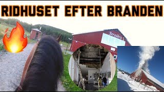 RIDHUSET RENOVERAS! + rider Clauusen | STALLVLOGG