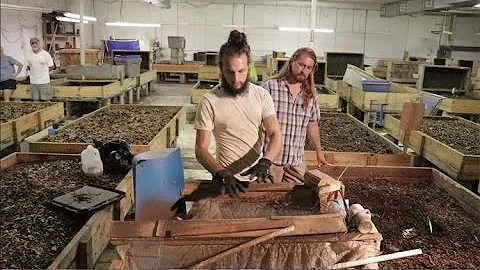 Tour a Commercial Worm Farm!