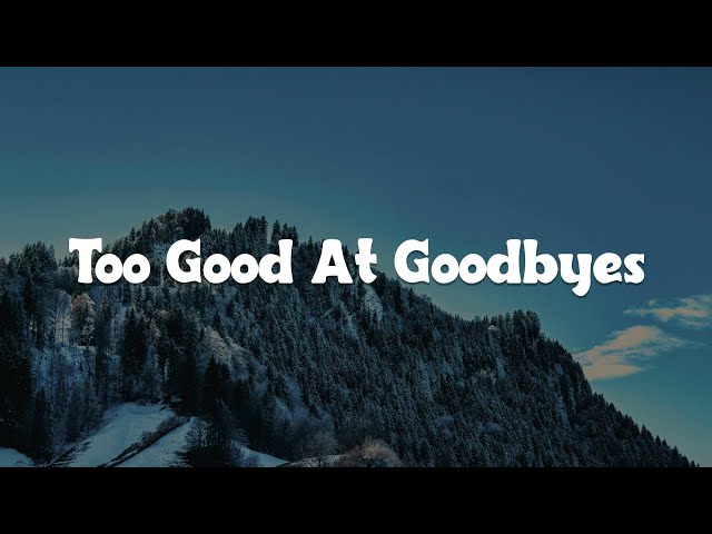 Too Good At Goodbyes, Before You Go, Perfect (Lyrics) - Sam Smith class=