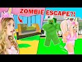 The CAPSULE IN Brookhaven Is CRACKING! Will The ZOMBIE ESCAPE?! (Roblox)