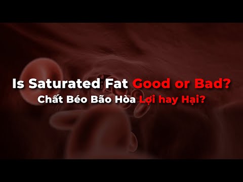 Unsaturated Fat Là Gì - Is Saturated Fat Good or Bad? Chất béo bão hòa có lợi hay hại?: New studies