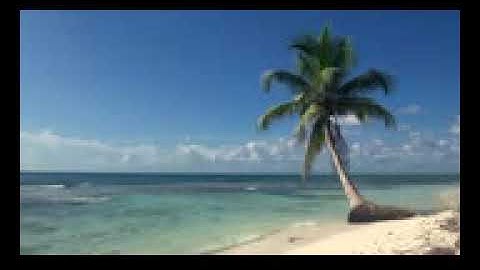 Relaxing 3 Hour Video of A Tropical Beach with Blue Sky White Sand and Palm Tree