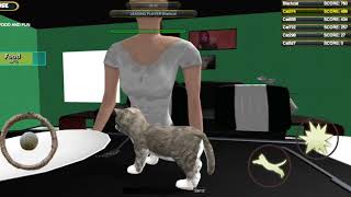 Cat Simulator Kitty Craft